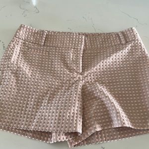 Ann Taylor LOFT Shorts